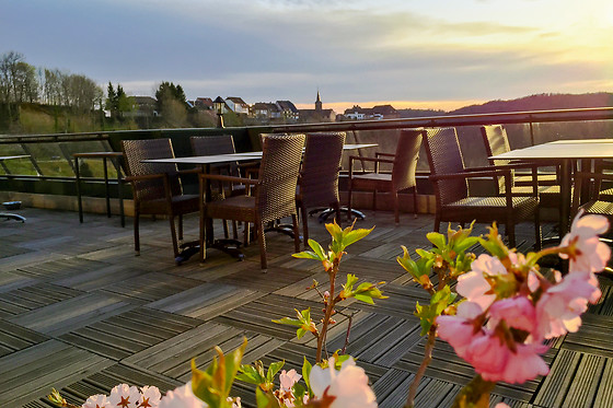 Hôtel Aux Trois Roses - photo 6