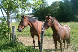 Locacheval