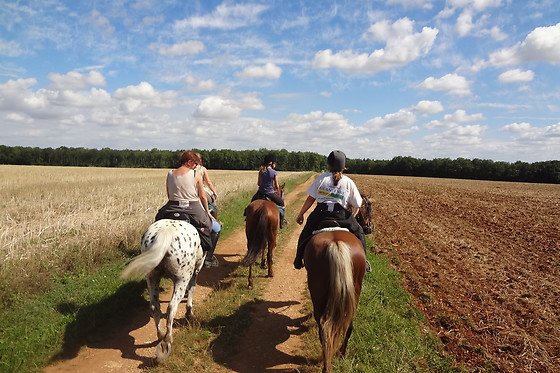 Locacheval - photo 2