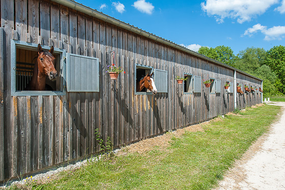 Ferme de la Renaissance - photo 10