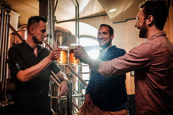 Brasseries artisanales