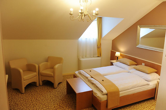 Hotel Gallus Zagreb - photo 5