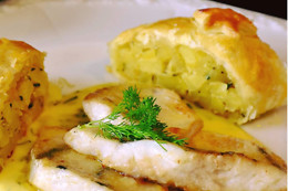 O GATO DO RIO