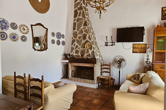 FINCA EL POCICO - photo 12