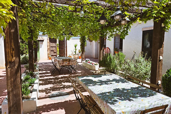 FINCA EL POCICO - photo 6