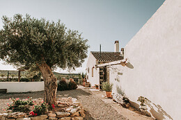 FINCA EL POCICO