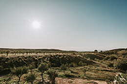 FINCA EL POCICO