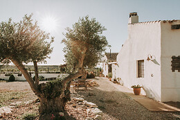 FINCA EL POCICO