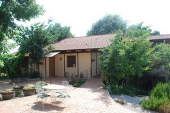 PAGO DE THARSYS - photo 1