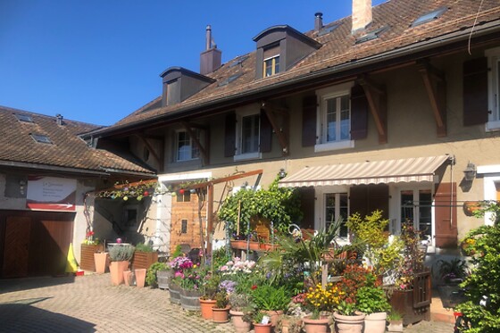 Domaine de Chantemerle - photo 0