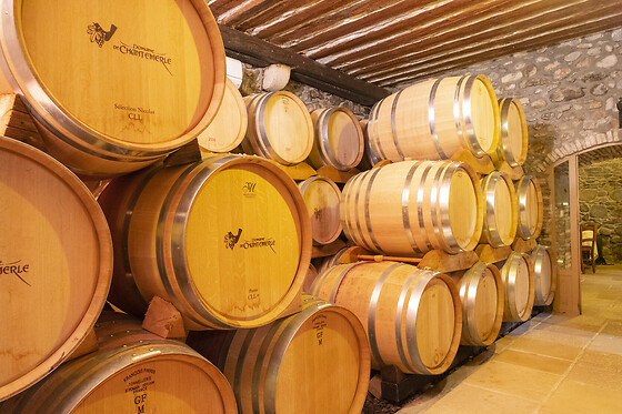 Domaine de Chantemerle - photo 7