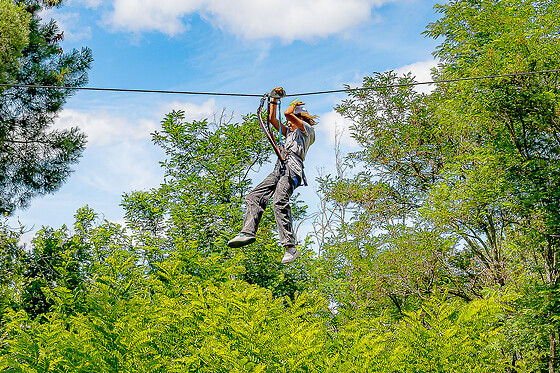 Accroche Toi Aux Branches Vallon - photo 2