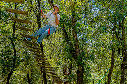 Accroche Toi Aux Branches Vallon