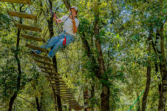 Accroche Toi Aux Branches Vallon - photo 3