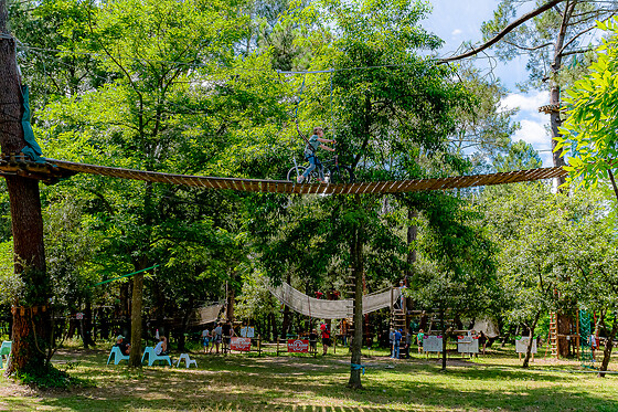 Accroche Toi Aux Branches Vallon - photo 4