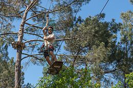 Accroche Toi Aux Branches Vallon