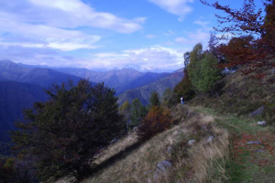 B&B Ianua Coeli - photo 13