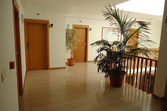 HOTEL MAR MENOR - photo 1