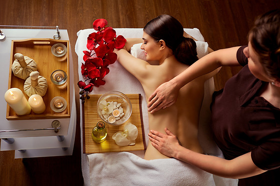 Natural Spa Institut Grand Plaisir - photo 10